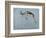 Springbok-James W. Johnson-Framed Giclee Print