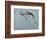 Springbok-James W. Johnson-Framed Giclee Print