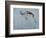 Springbok-James W. Johnson-Framed Giclee Print