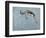 Springbok-James W. Johnson-Framed Giclee Print