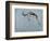 Springbok-James W. Johnson-Framed Giclee Print