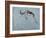 Springbok-James W. Johnson-Framed Giclee Print