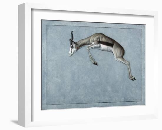 Springbok-James W. Johnson-Framed Giclee Print