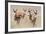 Springboks-Ivana Tacikova-Framed Photographic Print