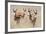 Springboks-Ivana Tacikova-Framed Photographic Print