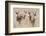 Springboks-Ivana Tacikova-Framed Photographic Print