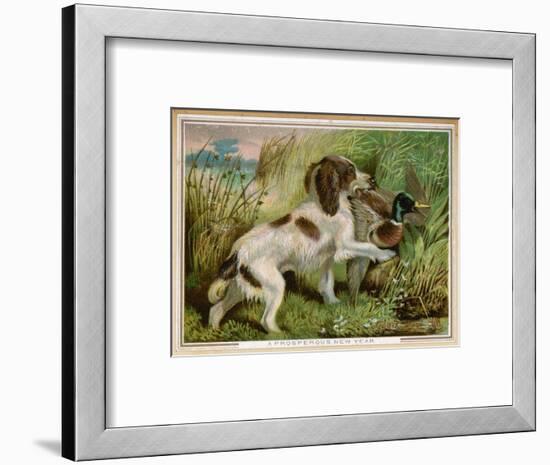 Springer Spaniel Card-null-Framed Art Print