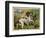 Springer Spaniel Card-null-Framed Art Print