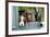 Springer Spaniel Dog and Field Spaniel-null-Framed Photographic Print