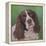 Springer Spaniel Fleck-Karie-Ann Cooper-Framed Premier Image Canvas