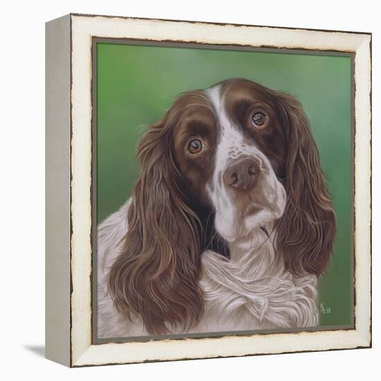 Springer Spaniel Fleck-Karie-Ann Cooper-Framed Premier Image Canvas