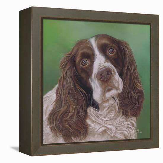 Springer Spaniel Fleck-Karie-Ann Cooper-Framed Premier Image Canvas