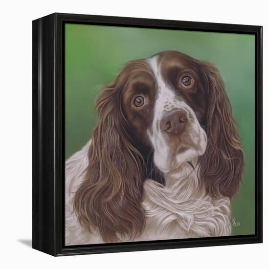 Springer Spaniel Fleck-Karie-Ann Cooper-Framed Premier Image Canvas