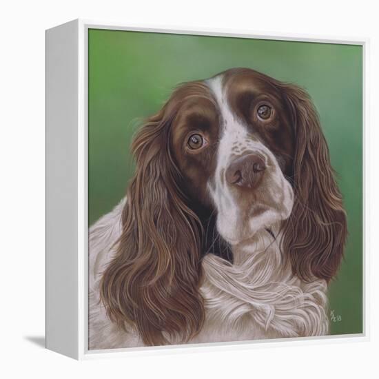 Springer Spaniel Fleck-Karie-Ann Cooper-Framed Premier Image Canvas