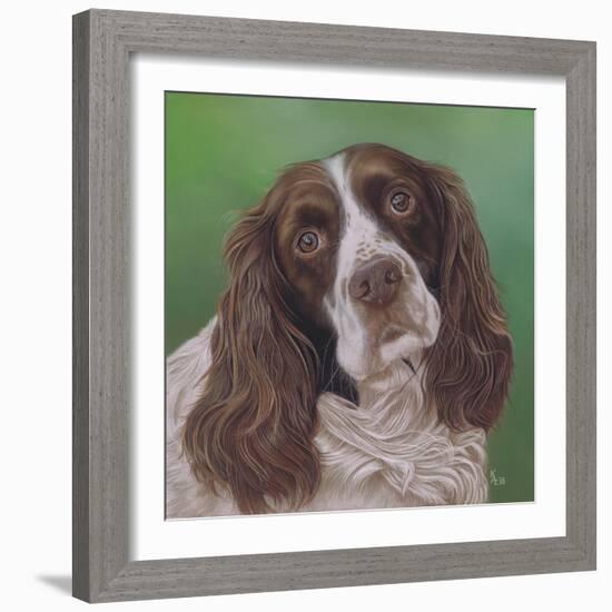 Springer Spaniel Fleck-Karie-Ann Cooper-Framed Giclee Print