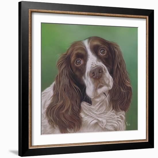 Springer Spaniel Fleck-Karie-Ann Cooper-Framed Giclee Print