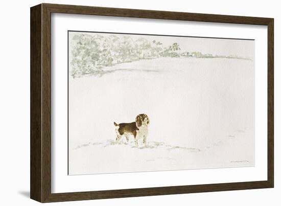 Springer Spaniel in the Snow-Suzi Kennett-Framed Giclee Print