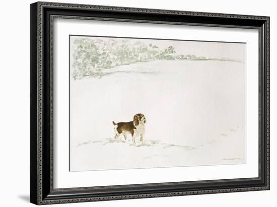 Springer Spaniel in the Snow-Suzi Kennett-Framed Giclee Print