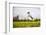 Springer Spaniel jumping to catch treat, United Kingdom, Europe-John Alexander-Framed Photographic Print