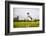 Springer Spaniel jumping to catch treat, United Kingdom, Europe-John Alexander-Framed Photographic Print