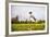 Springer Spaniel jumping to catch treat, United Kingdom, Europe-John Alexander-Framed Photographic Print