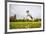 Springer Spaniel jumping to catch treat, United Kingdom, Europe-John Alexander-Framed Photographic Print