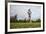 Springer Spaniel leaping for treat, United Kingdom, Europe-John Alexander-Framed Photographic Print