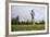 Springer Spaniel leaping for treat, United Kingdom, Europe-John Alexander-Framed Photographic Print