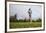 Springer Spaniel leaping for treat, United Kingdom, Europe-John Alexander-Framed Photographic Print