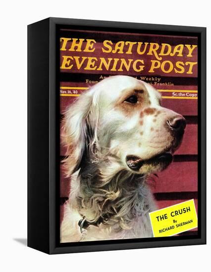 "Springer Spaniel," Saturday Evening Post Cover, November 16, 1940-W.W. Calvert-Framed Premier Image Canvas