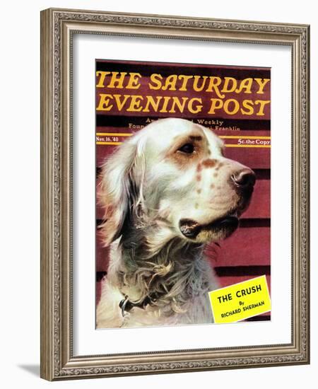 "Springer Spaniel," Saturday Evening Post Cover, November 16, 1940-W.W. Calvert-Framed Giclee Print