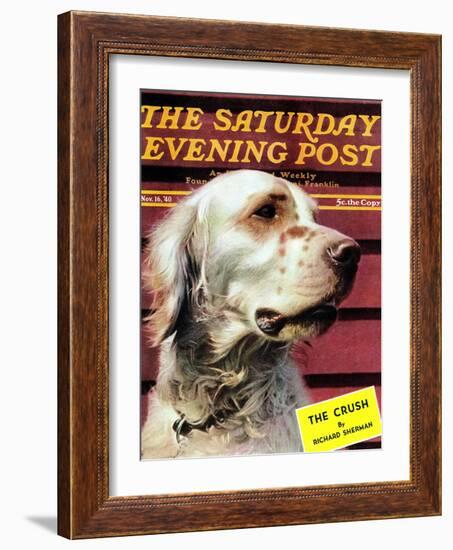 "Springer Spaniel," Saturday Evening Post Cover, November 16, 1940-W.W. Calvert-Framed Giclee Print