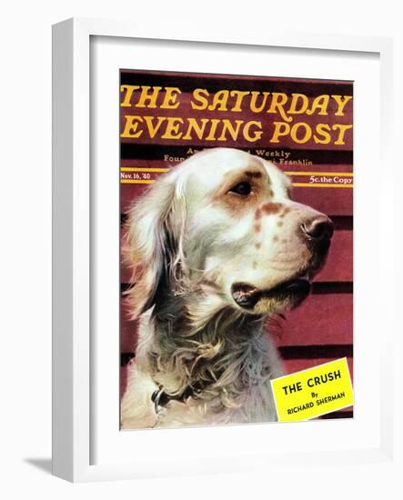 "Springer Spaniel," Saturday Evening Post Cover, November 16, 1940-W.W. Calvert-Framed Giclee Print