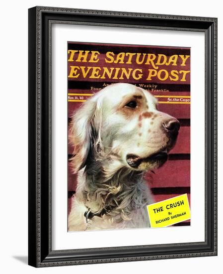 "Springer Spaniel," Saturday Evening Post Cover, November 16, 1940-W.W. Calvert-Framed Giclee Print