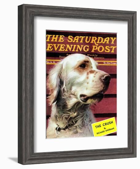 "Springer Spaniel," Saturday Evening Post Cover, November 16, 1940-W.W. Calvert-Framed Giclee Print