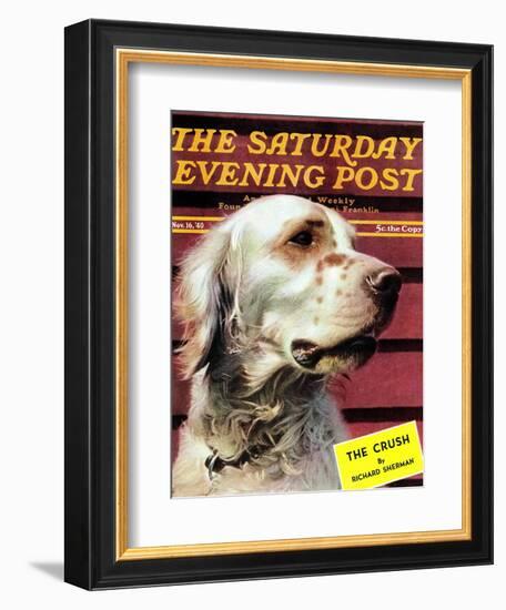 "Springer Spaniel," Saturday Evening Post Cover, November 16, 1940-W.W. Calvert-Framed Giclee Print