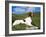 Springer Spaniel, Scotland, UK-Pete Cairns-Framed Photographic Print