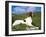 Springer Spaniel, Scotland, UK-Pete Cairns-Framed Photographic Print