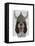 Springer Spaniel Viking-Fab Funky-Framed Stretched Canvas