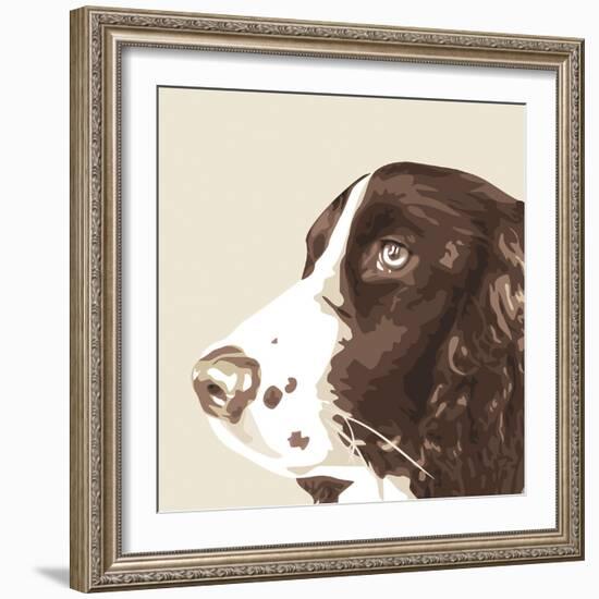 Springer Spaniel-Emily Burrowes-Framed Giclee Print