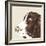 Springer Spaniel-Emily Burrowes-Framed Giclee Print