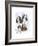 Springer Spaniel-Barbara Keith-Framed Giclee Print