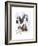 Springer Spaniel-Barbara Keith-Framed Giclee Print