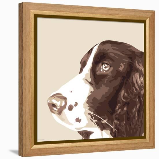 Springer Spaniel-Emily Burrowes-Framed Stretched Canvas