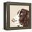 Springer Spaniel-Emily Burrowes-Framed Stretched Canvas