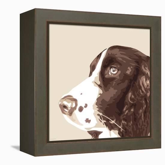 Springer Spaniel-Emily Burrowes-Framed Stretched Canvas