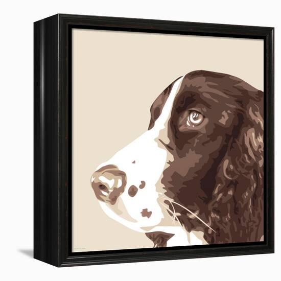 Springer Spaniel-Emily Burrowes-Framed Stretched Canvas