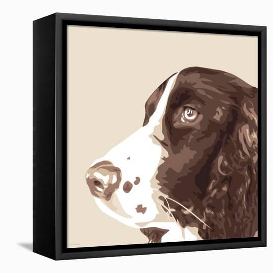 Springer Spaniel-Emily Burrowes-Framed Stretched Canvas