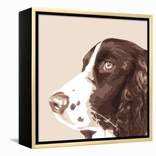 Springer Spaniel-Emily Burrowes-Framed Stretched Canvas