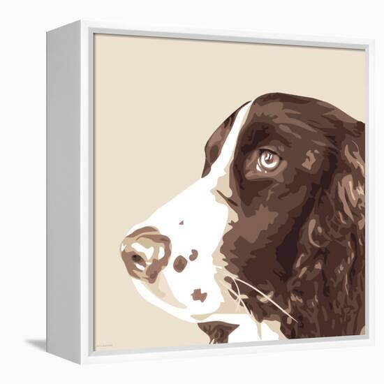 Springer Spaniel-Emily Burrowes-Framed Stretched Canvas